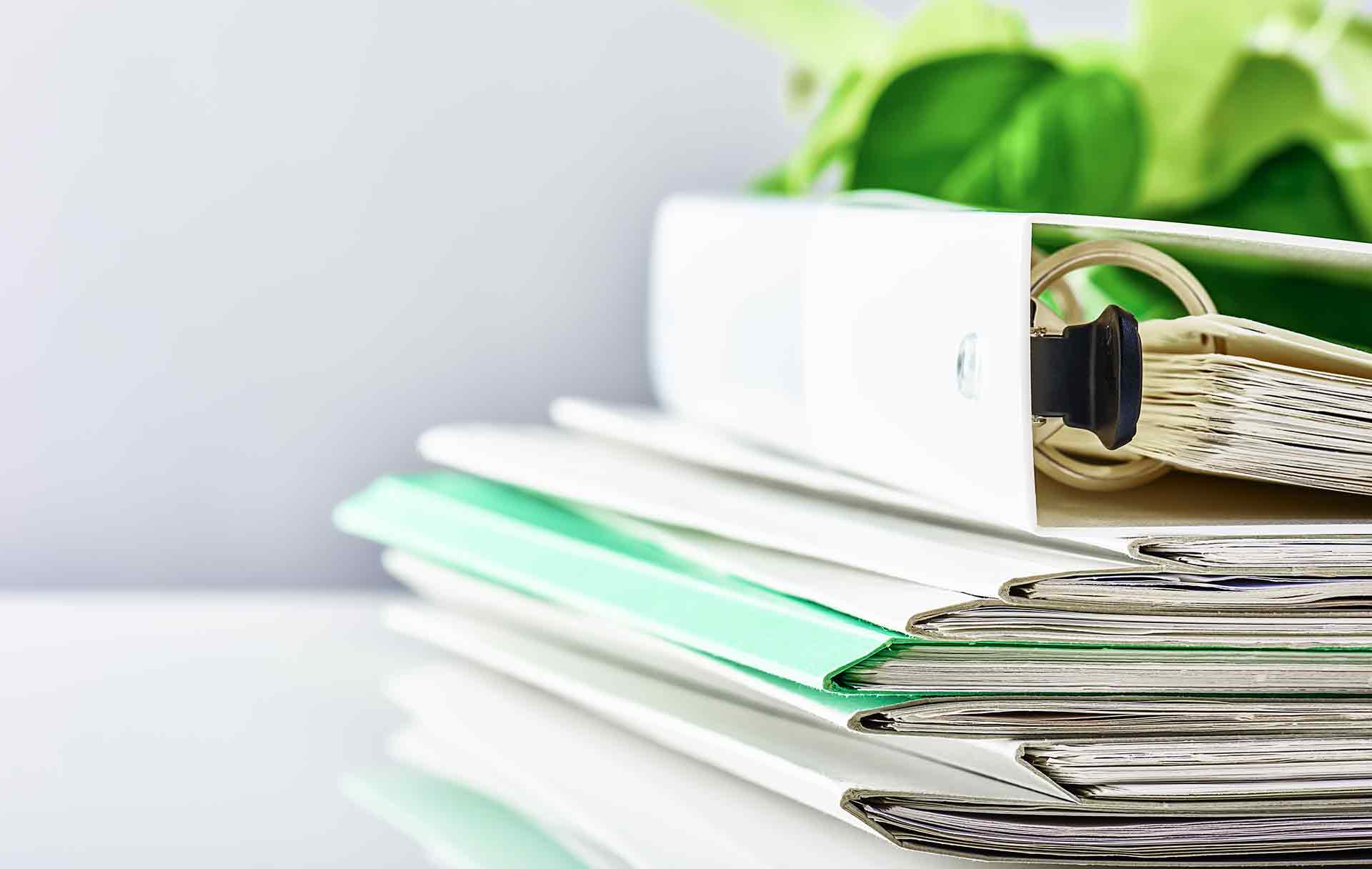 Project Management Organization